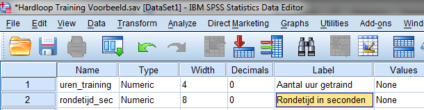 SPSS Variable data labels aanmaken voorbeeld