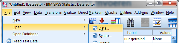 SPSS onderzoeksdata importeren