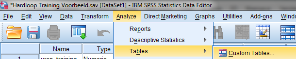 SPSS Tabellen tellingen menu